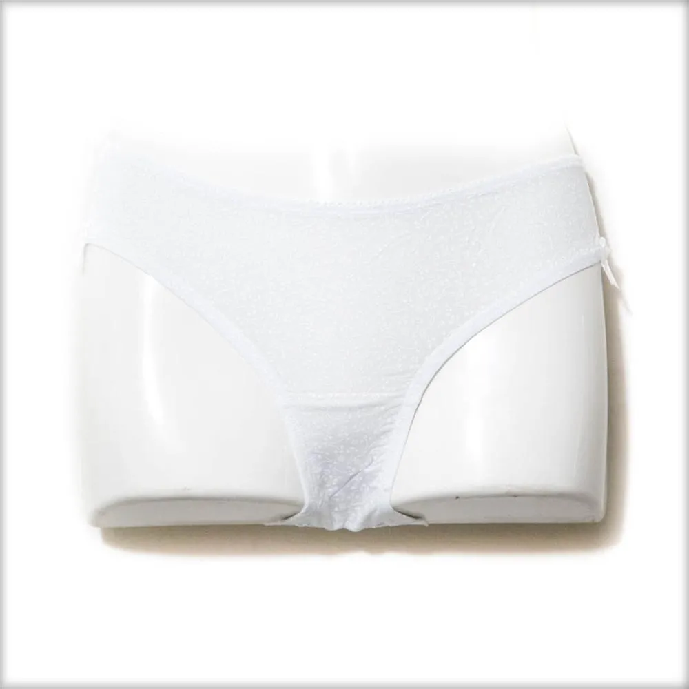2Pcs Women Embroidered Lace Panty Underwear Sexy See Through Panties