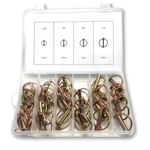 50 Piece Lynch Pin Assortment Kit