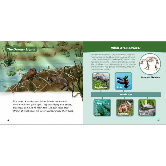 A Spring Adventure with Beavers