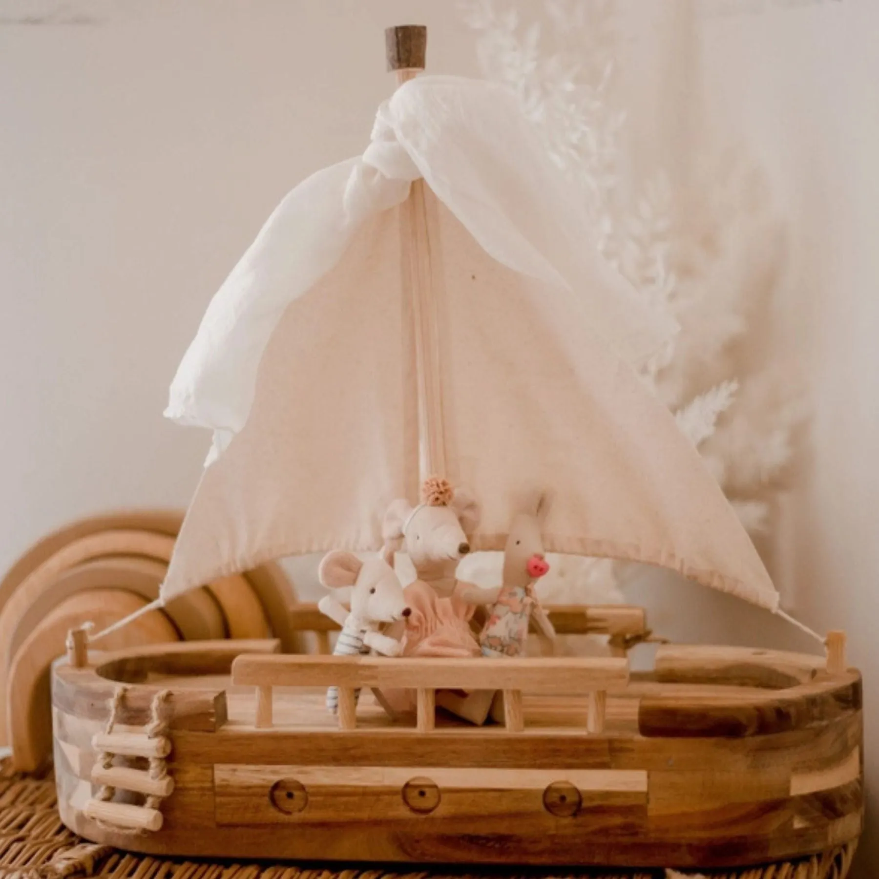Adventure Ship