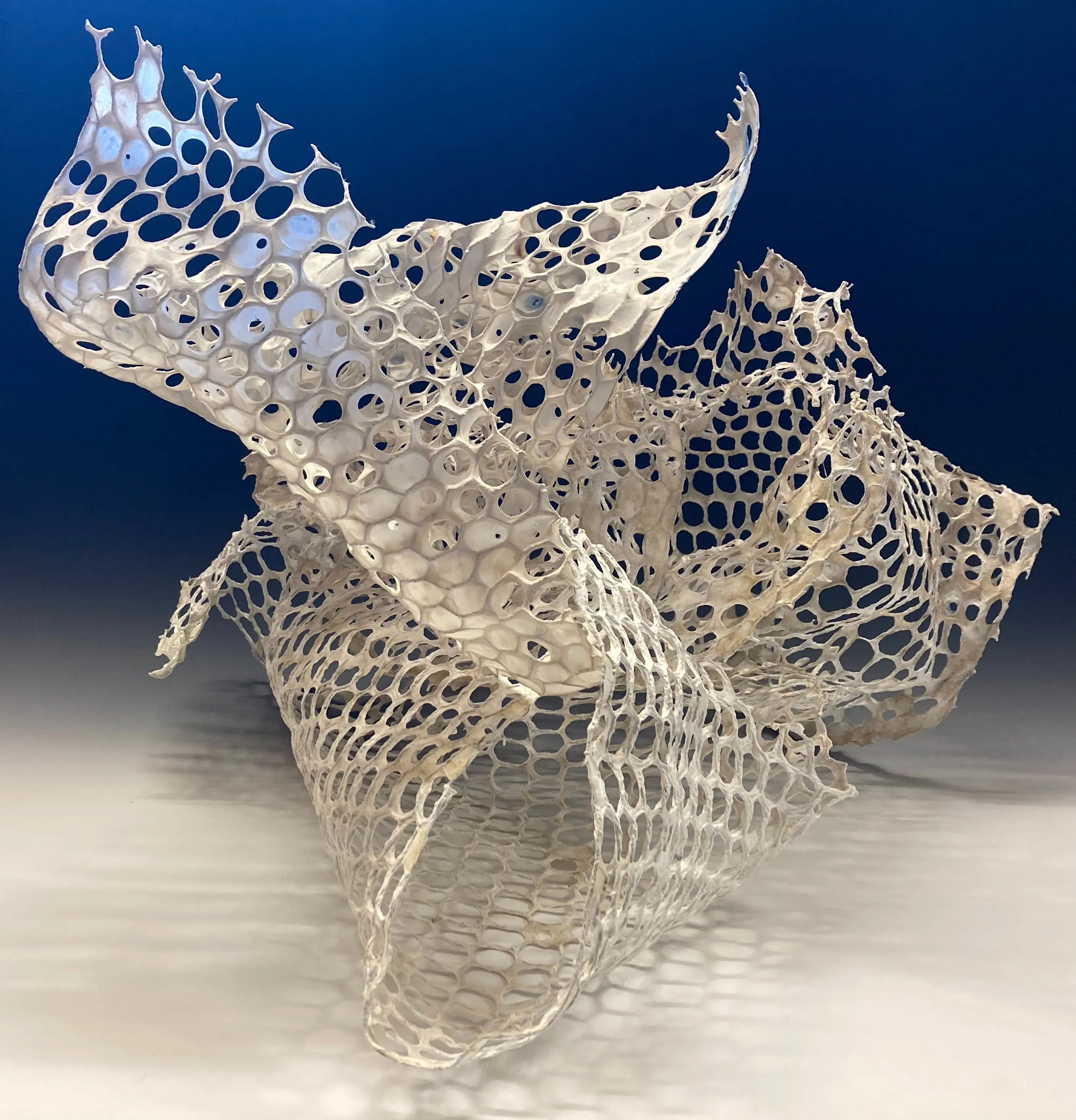 Anne Marble: Winged Migration