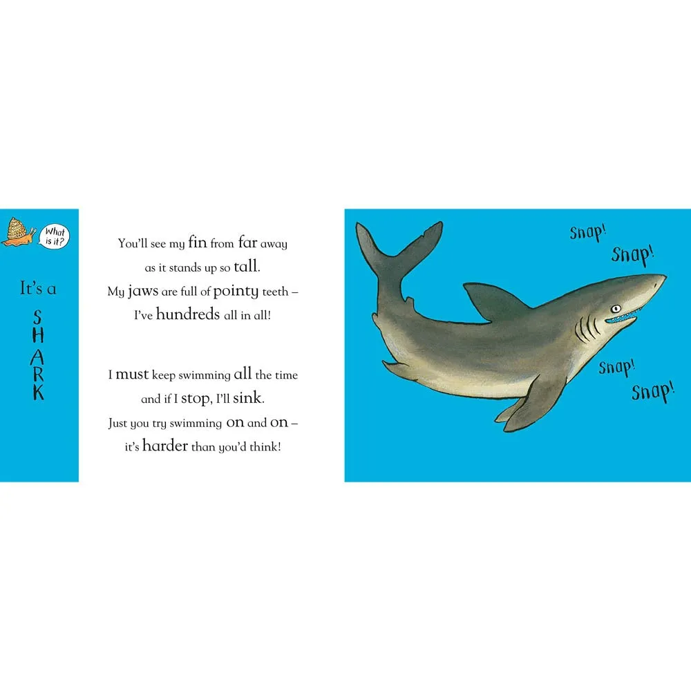 Axel Scheffler's Flip Flap Ocean