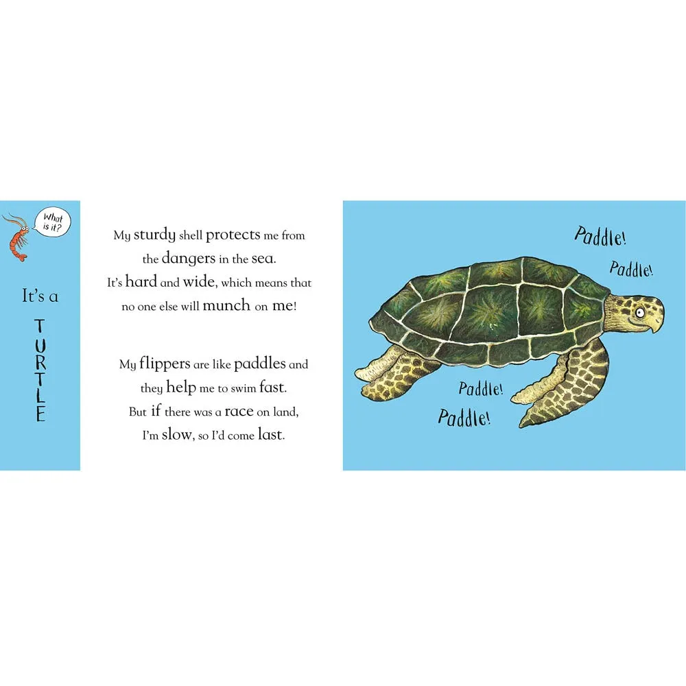 Axel Scheffler's Flip Flap Ocean