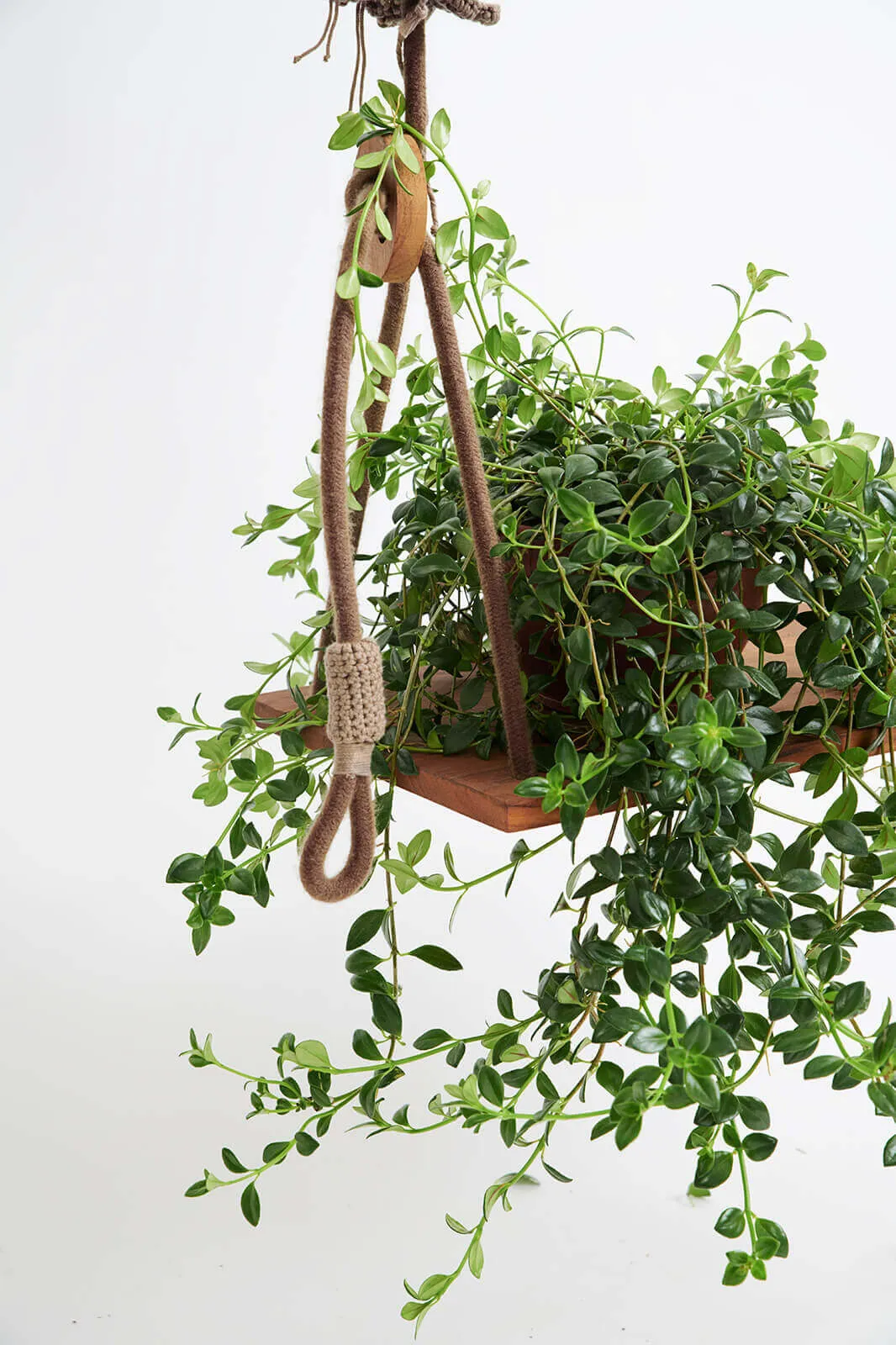 Cacao Outdoor Swing