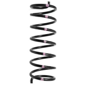 CAN-AM Secondary Springs