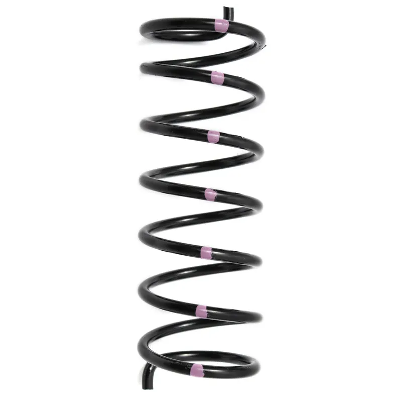 CAN-AM Secondary Springs