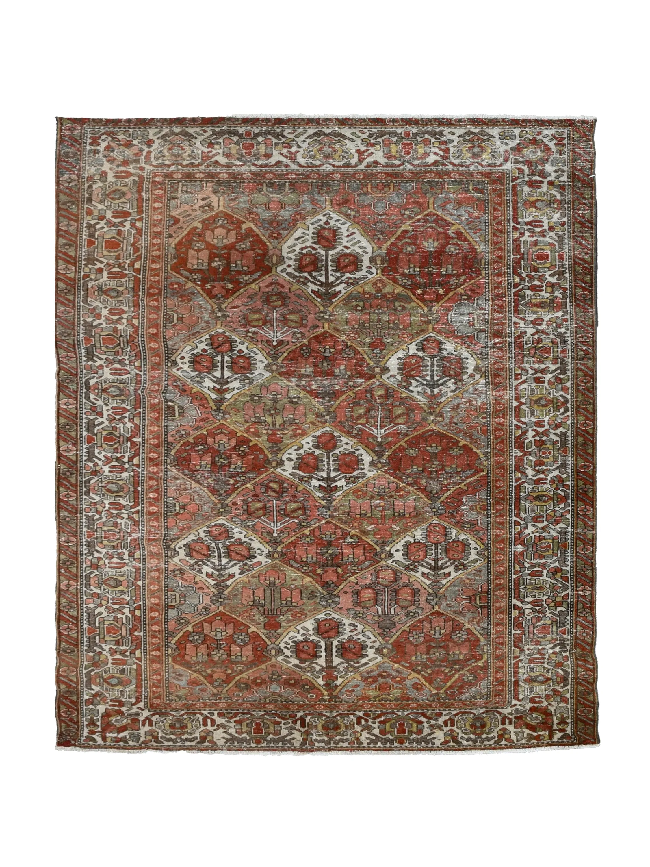 Chivan (5x7)