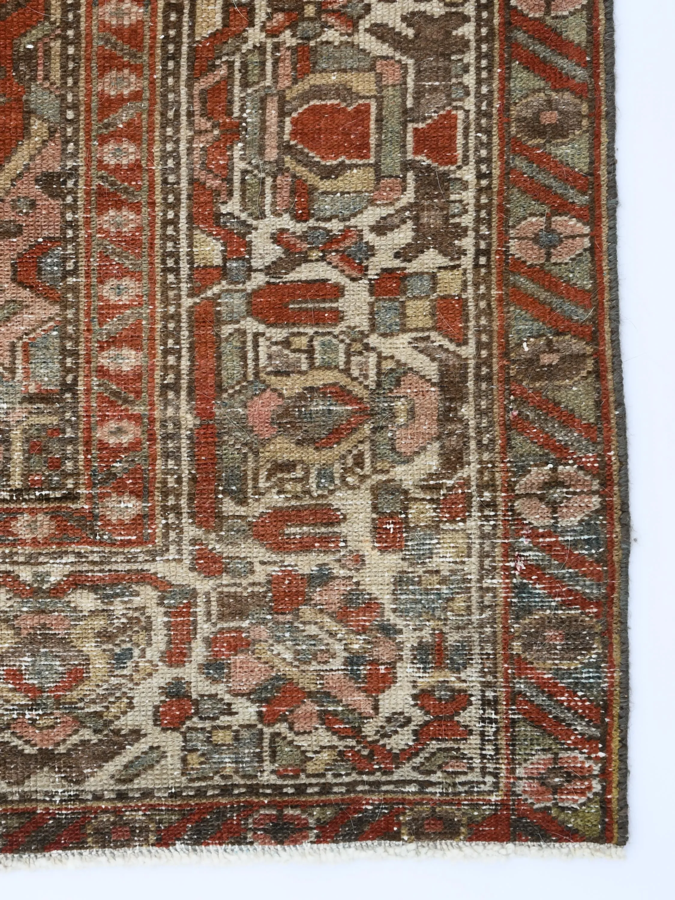 Chivan (5x7)