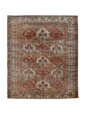 Chivan (5x7)
