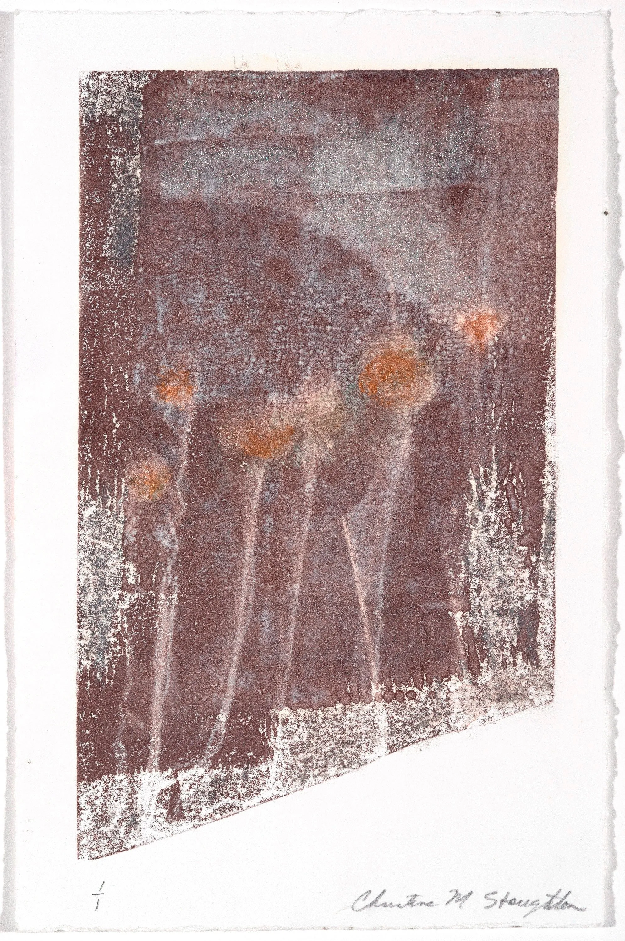 Christine Stoughton: Night's Garden