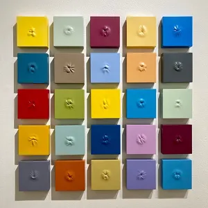 Colorful Ani 25