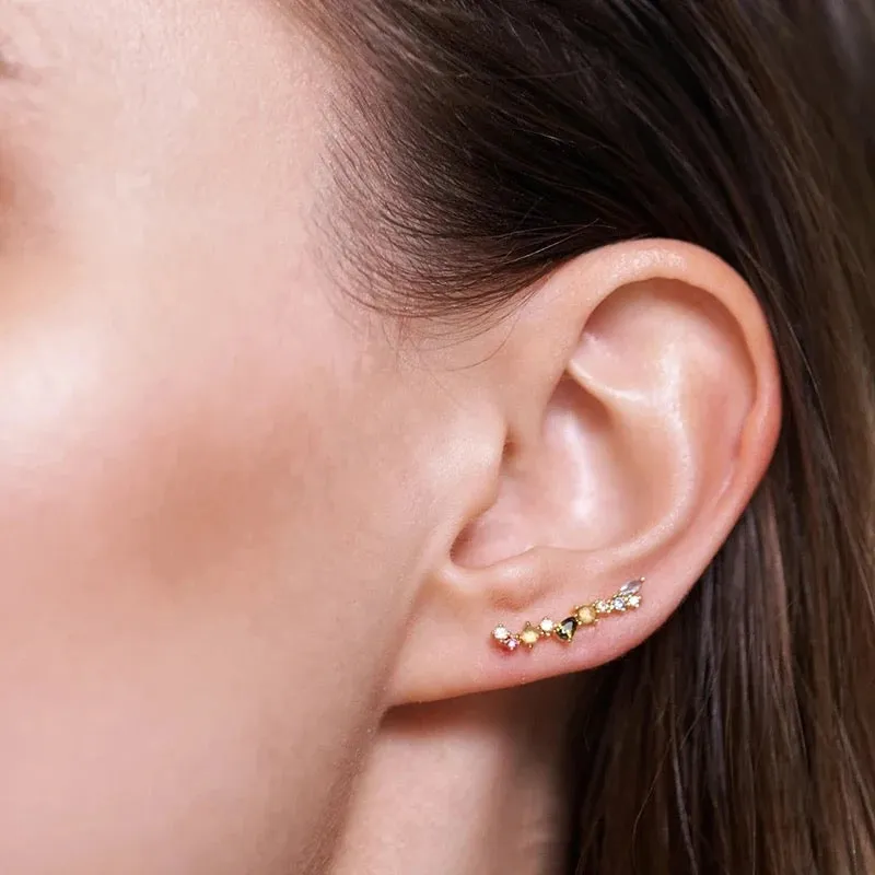Colorful Ear Climber