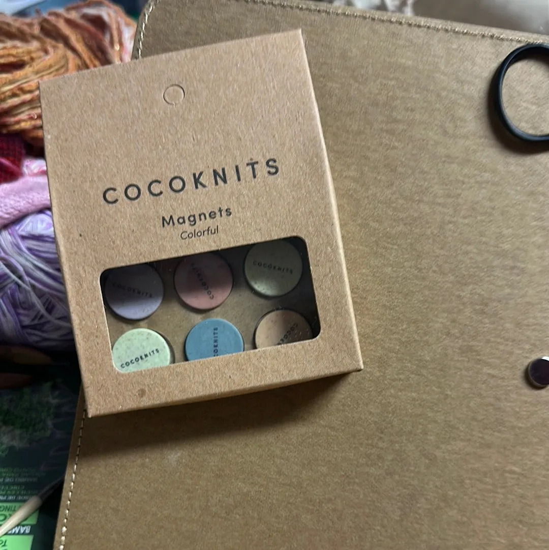 Colorful Magnet Set