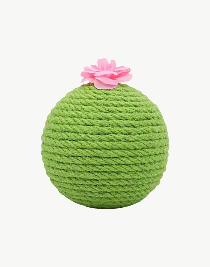 Colorful Pet Toy