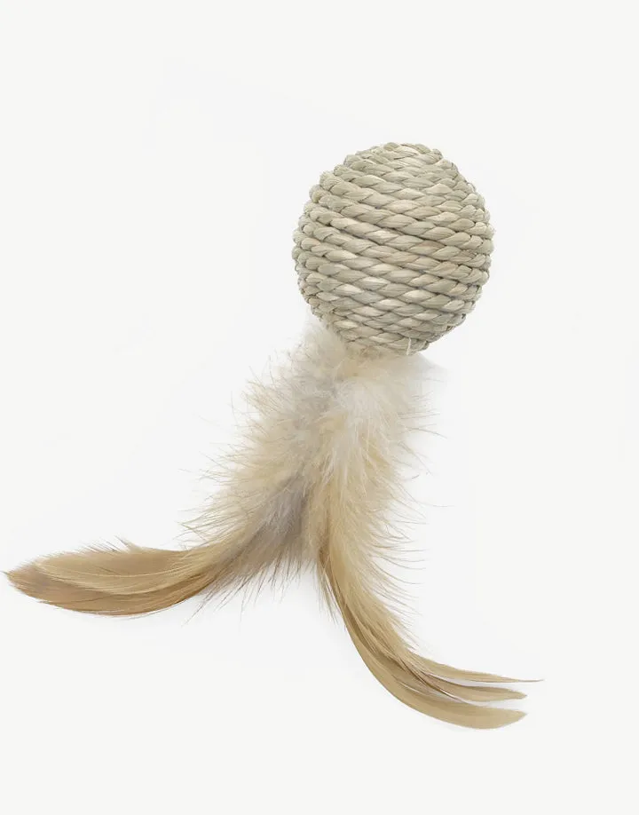 Colorful Pet Toy