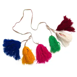Colorful Tassel 12