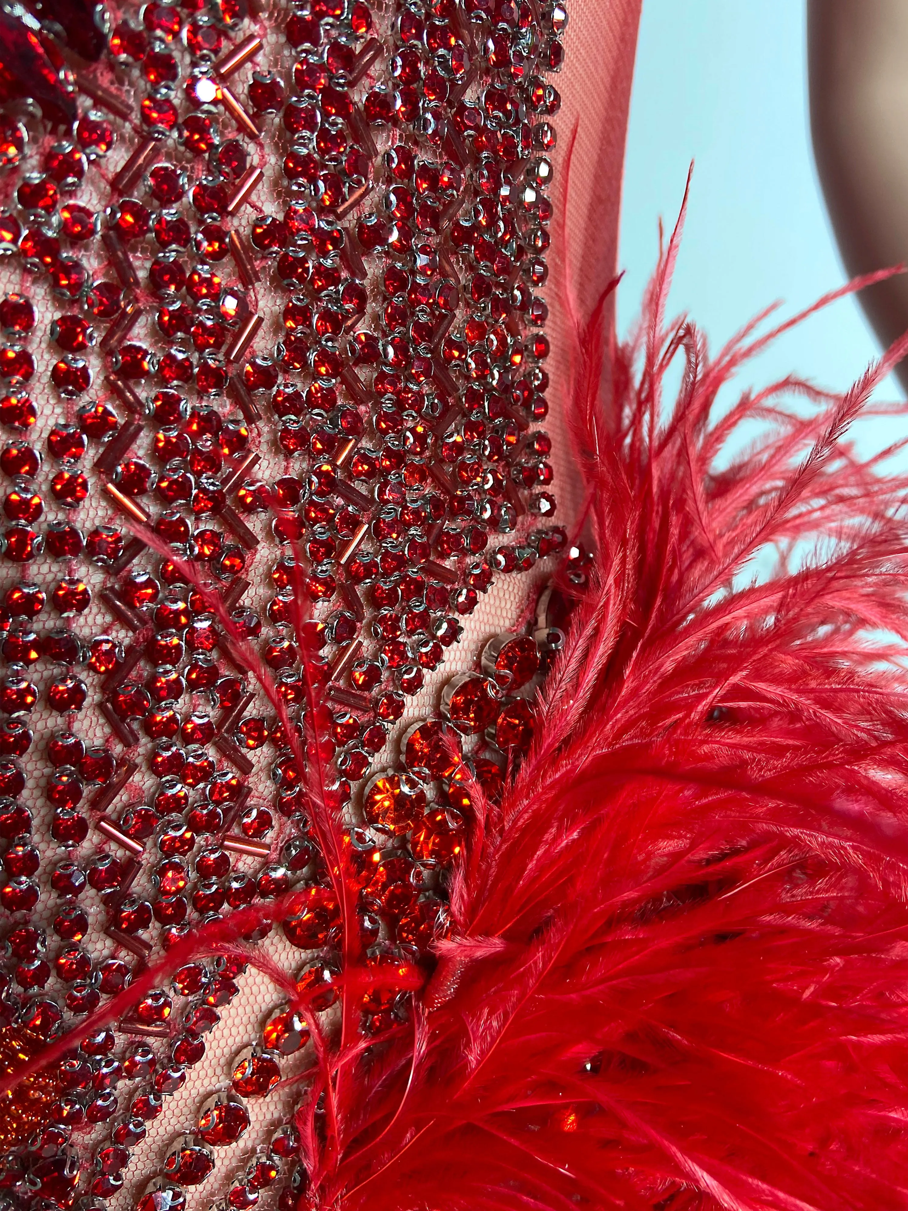 Dazzle Red See-Through Gown