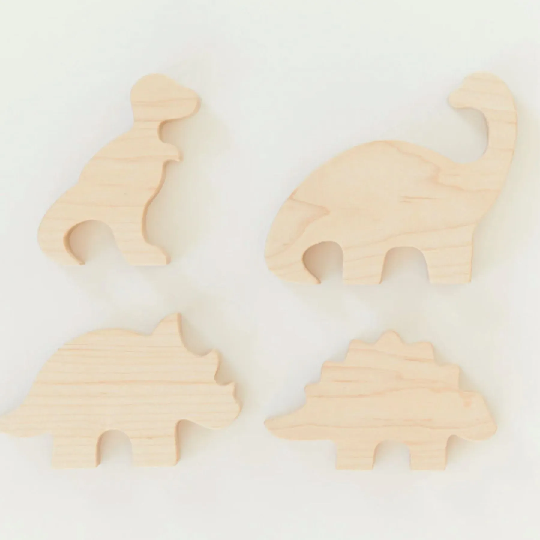 Dinosaur Set