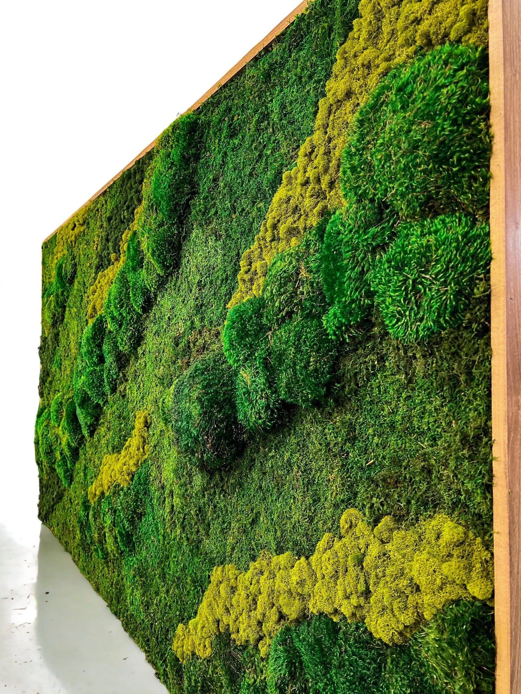 Forest Ground Mood Moss Wall Art