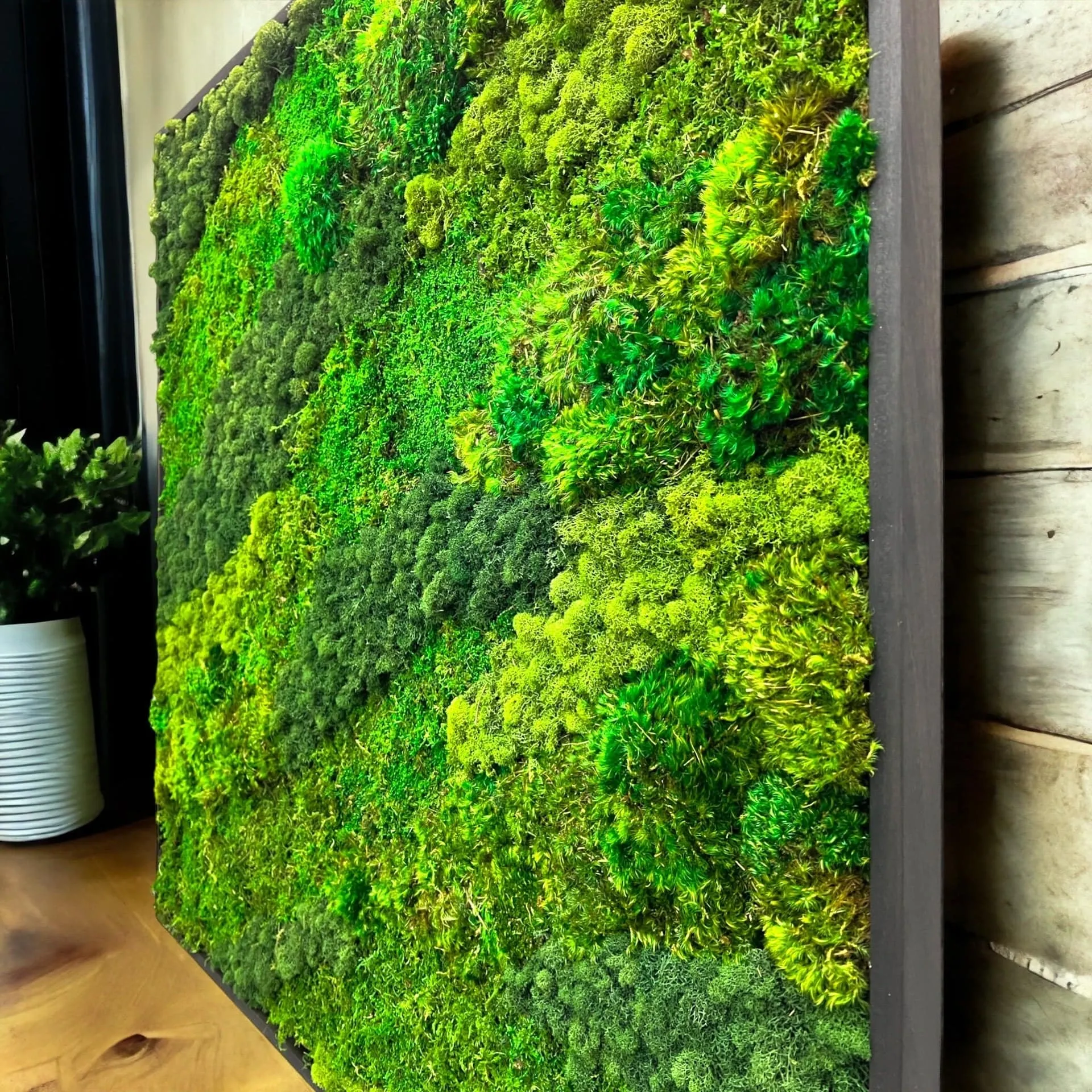 Forest Ground Mood Moss Wall Art