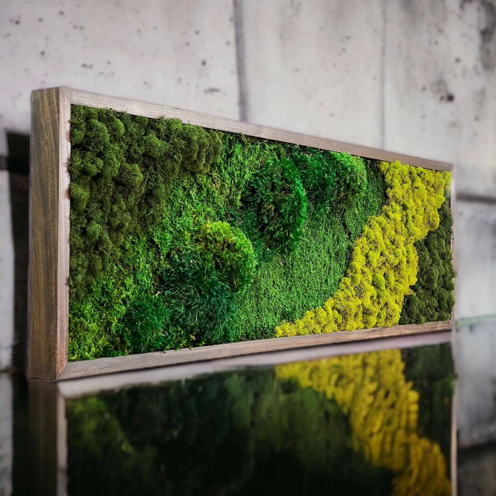 Forest Ground Mood Moss Wall Art