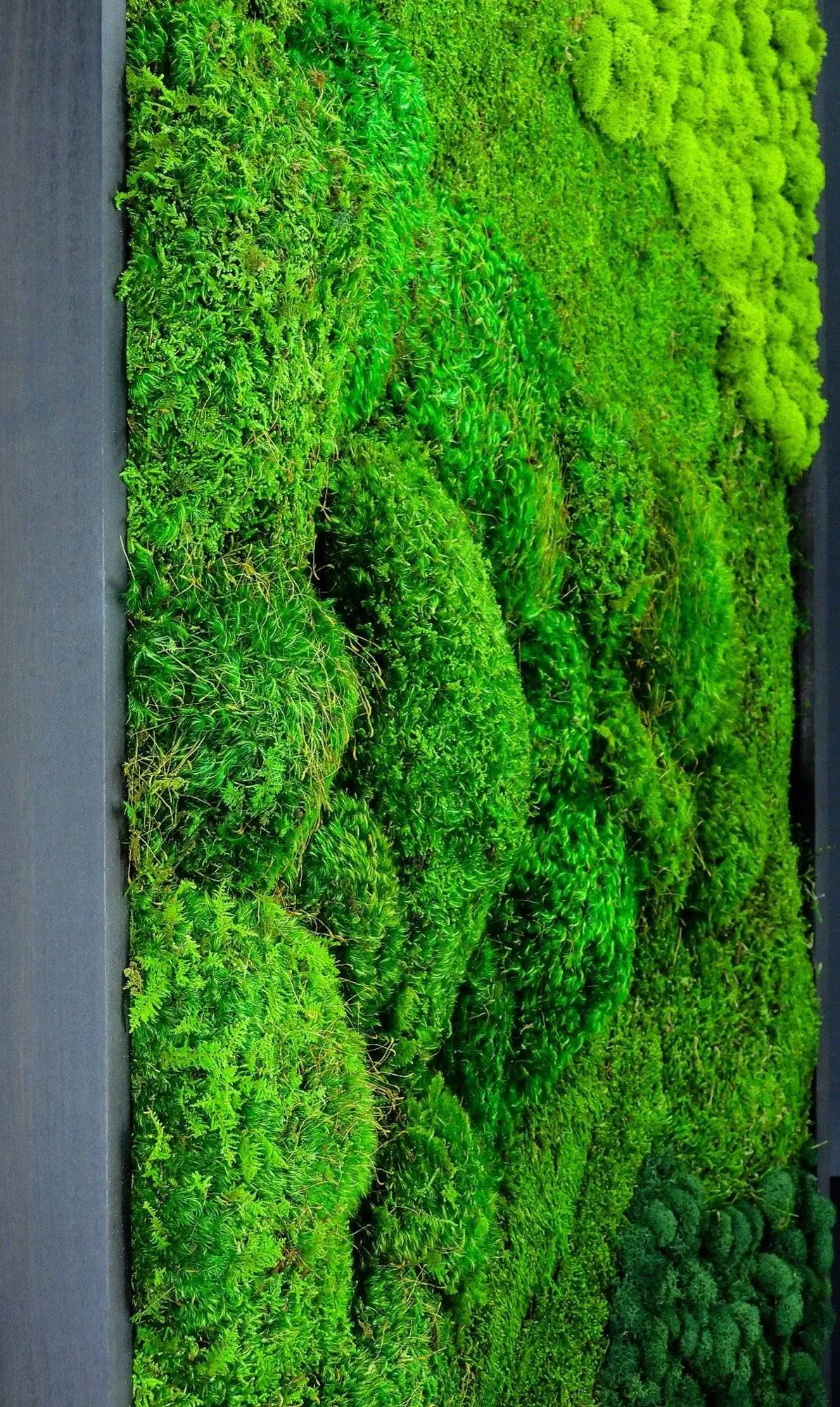 Forest Ground Mood Moss Wall Art