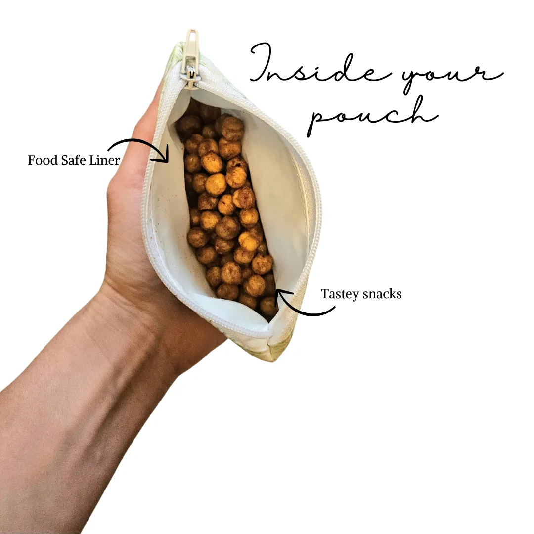 Glow in the Dark Dinosaurs Reusable Food Safe Pouch