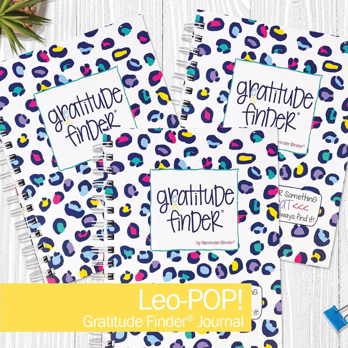 Gratitude Finder® Journals Bundle of 3 | Gratitude Journals to Inspire Daily Gratitude | The Perfect Gift for Mindful Moments | HOT DEAL