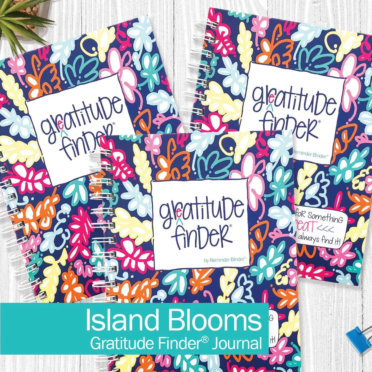 Gratitude Finder® Journals Bundle of 3 | Gratitude Journals to Inspire Daily Gratitude | The Perfect Gift for Mindful Moments | HOT DEAL