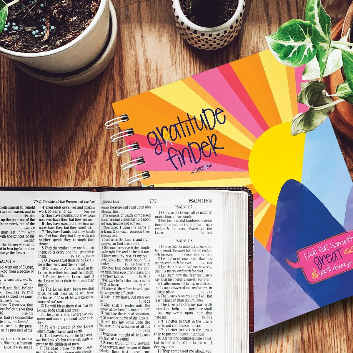 Gratitude Journals Bundle of TWO Gratitude Finder® Gratitude Journals
