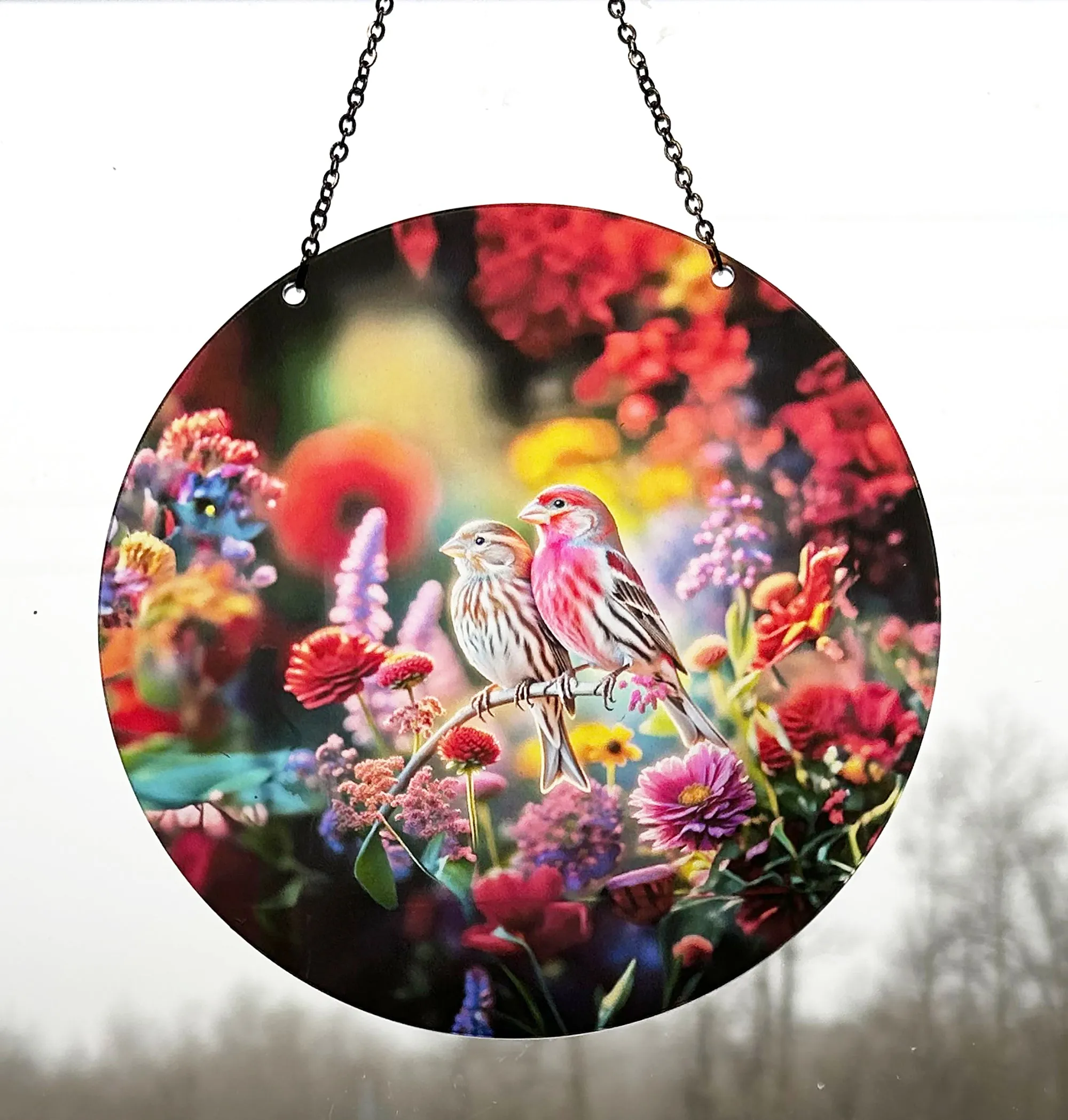 House Finch Acrylic Suncatcher with Chain #SC373 by d'ears