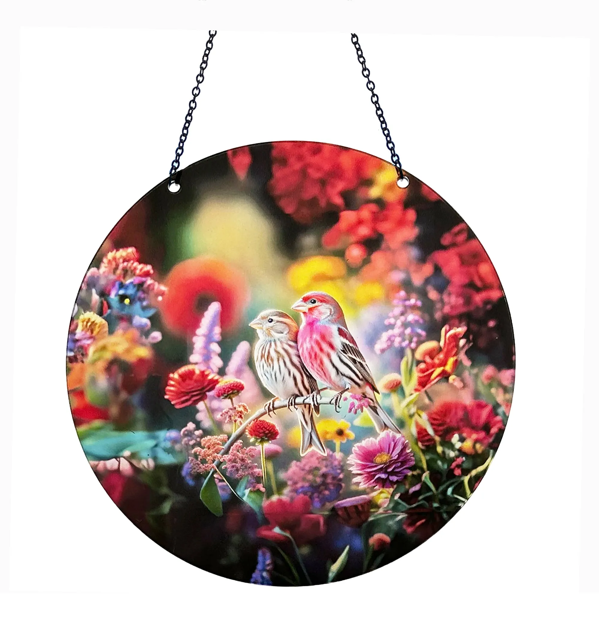 House Finch Acrylic Suncatcher with Chain #SC373 by d'ears
