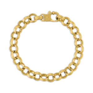 Large Double Link Bracelet with Fibula Clasp