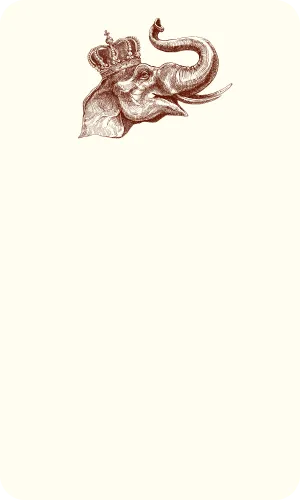 Lucky Elephant Thinking Card