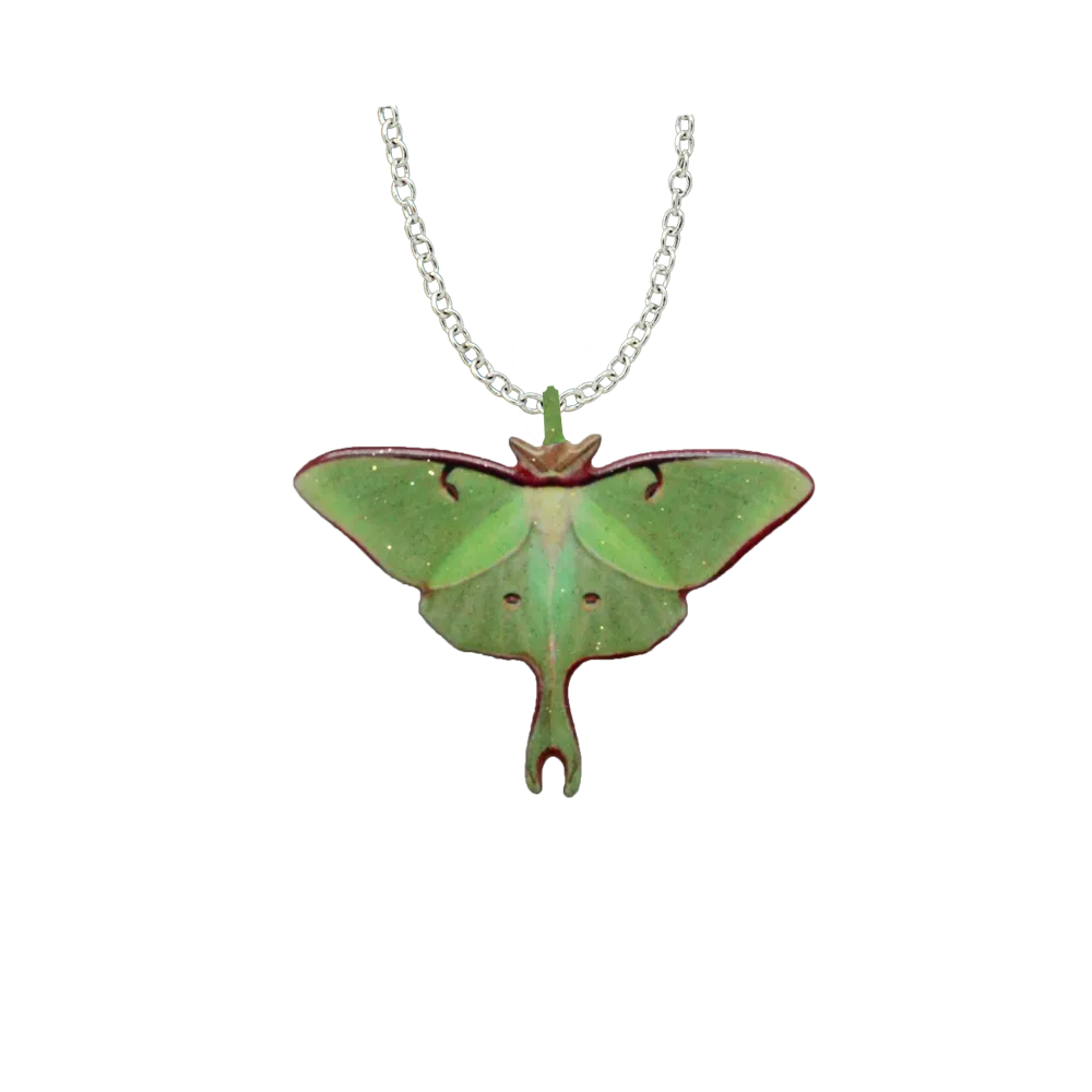 Luna Moth