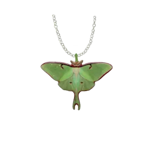 Luna Moth