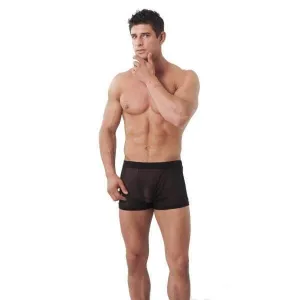Mesh see through shorts