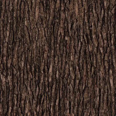 Open Air Bark