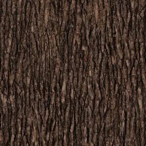Open Air Bark