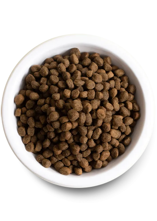 Open Farm Grass-Fed Beef Grain-Free Dry Dog Food