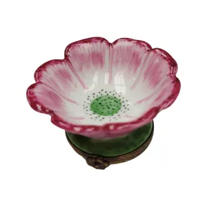 Open Flower Bud