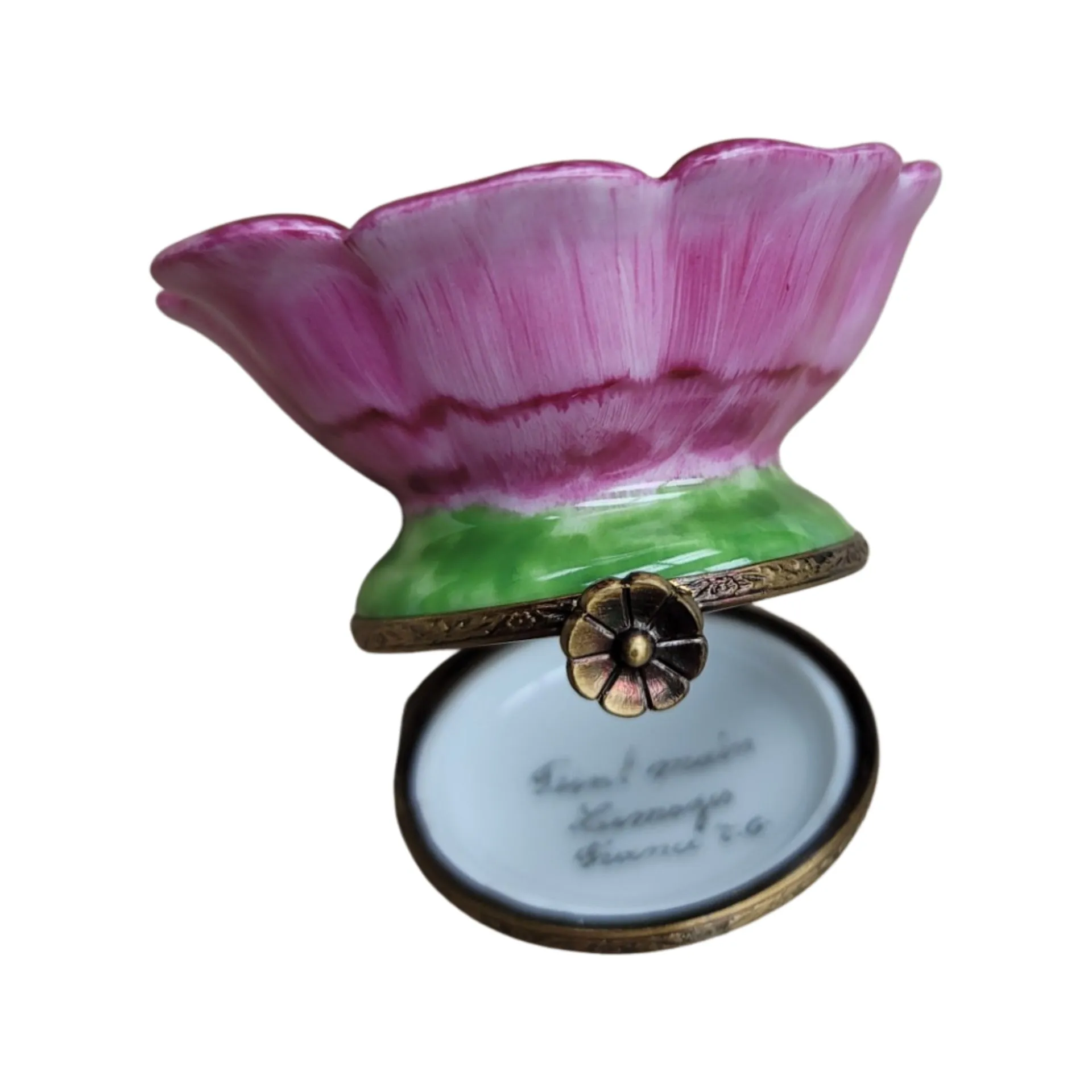 Open Flower Bud