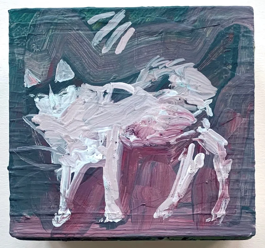 Philippa Beardsley: Kitten