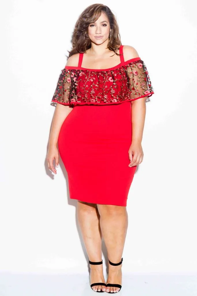 Plus Size Gorgeous Floral See Through Mesh Dress