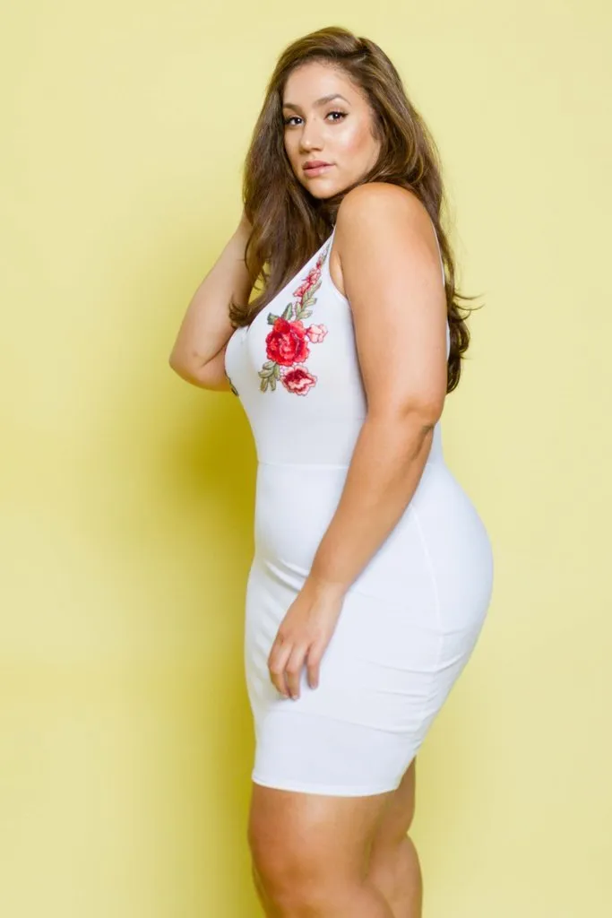 Plus Size Mini See Through Mesh Dress with Gorgeous Floral Embroidery