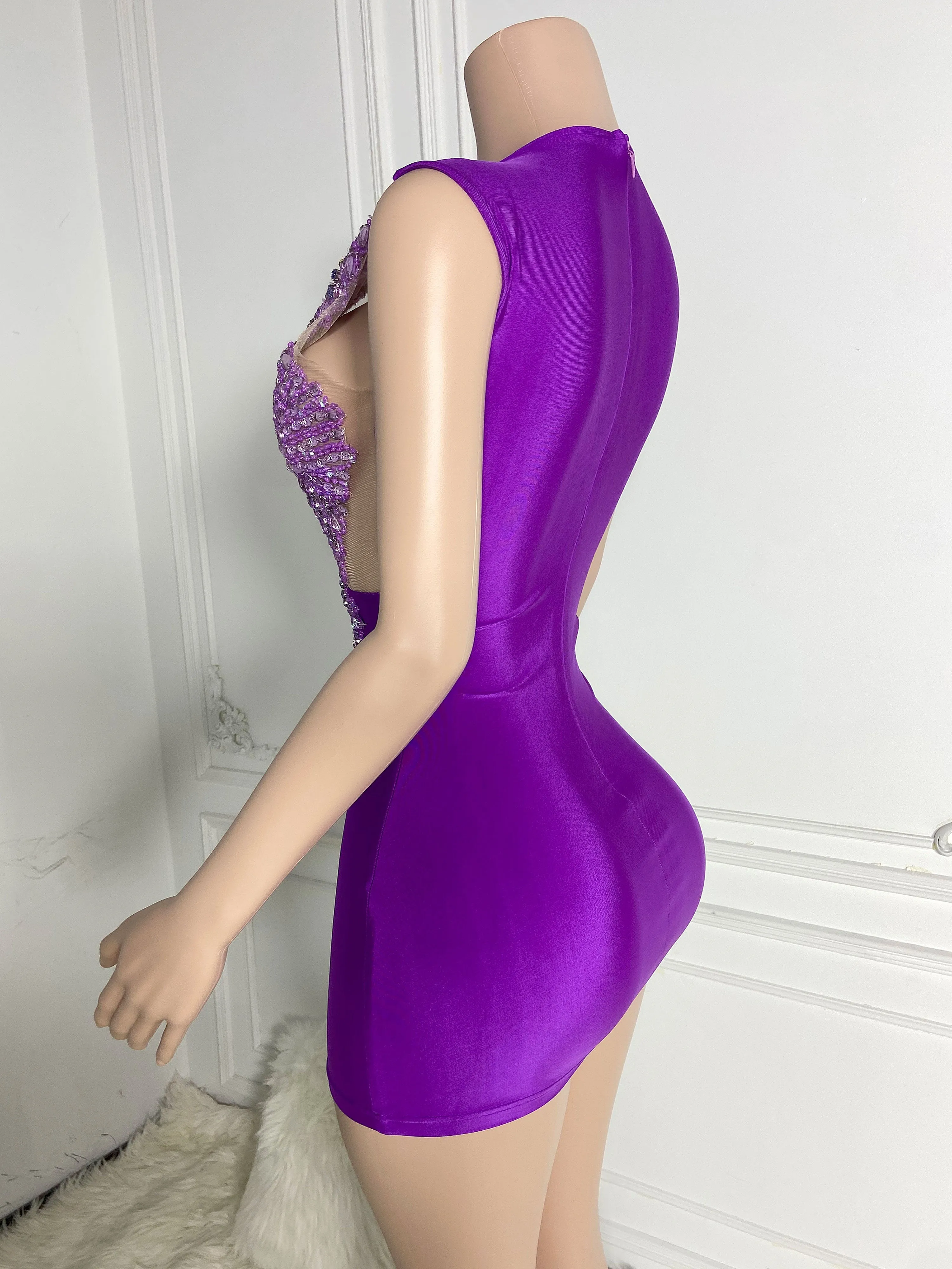 Purple Sheer Elegance Mini Dress