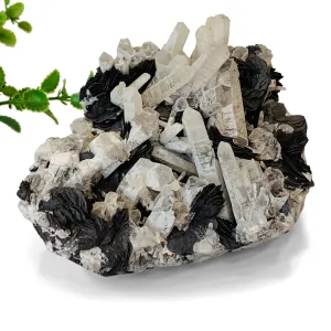 Quartz and Hematite Specimen