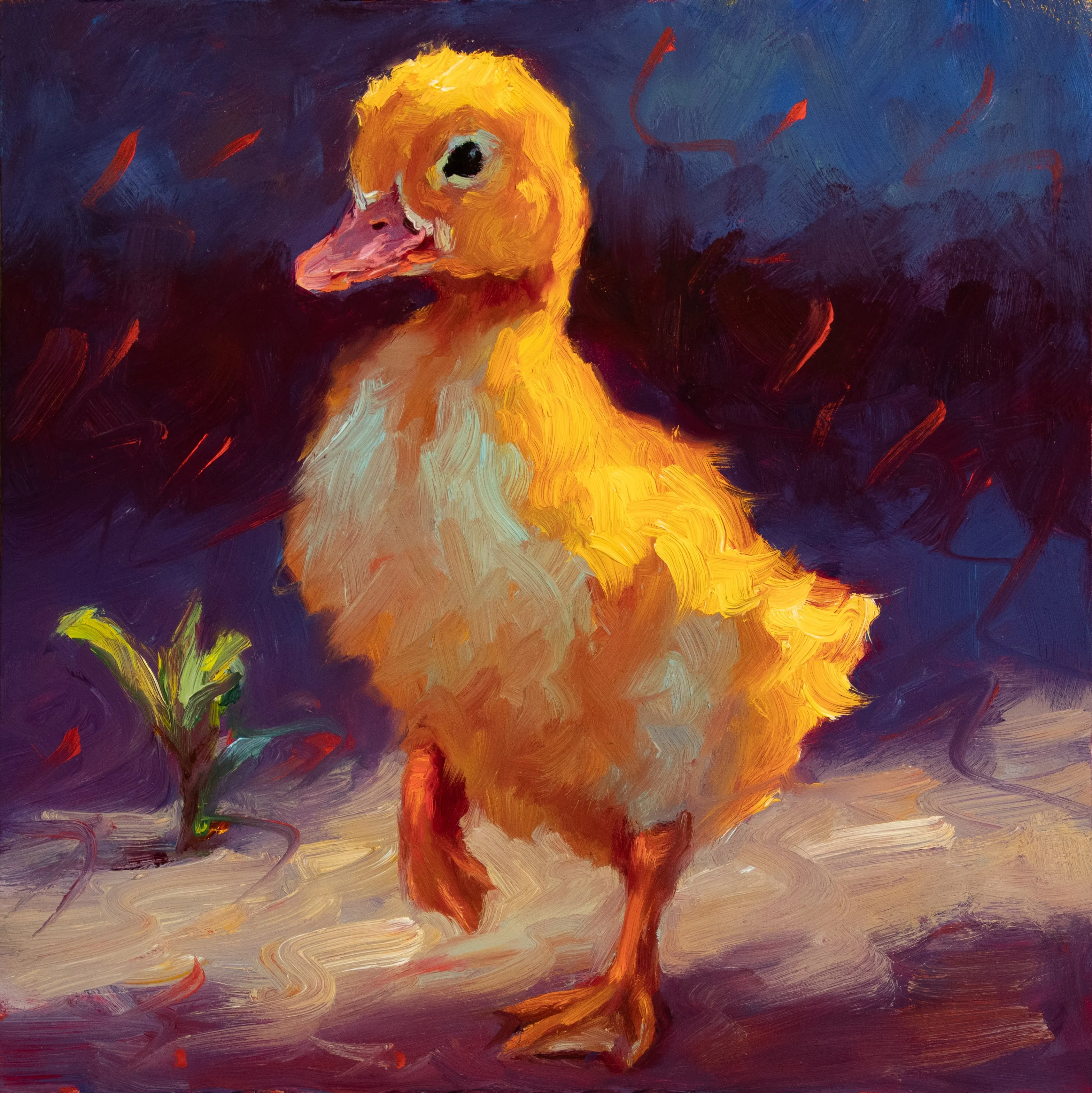 "Duckling Adventure"
