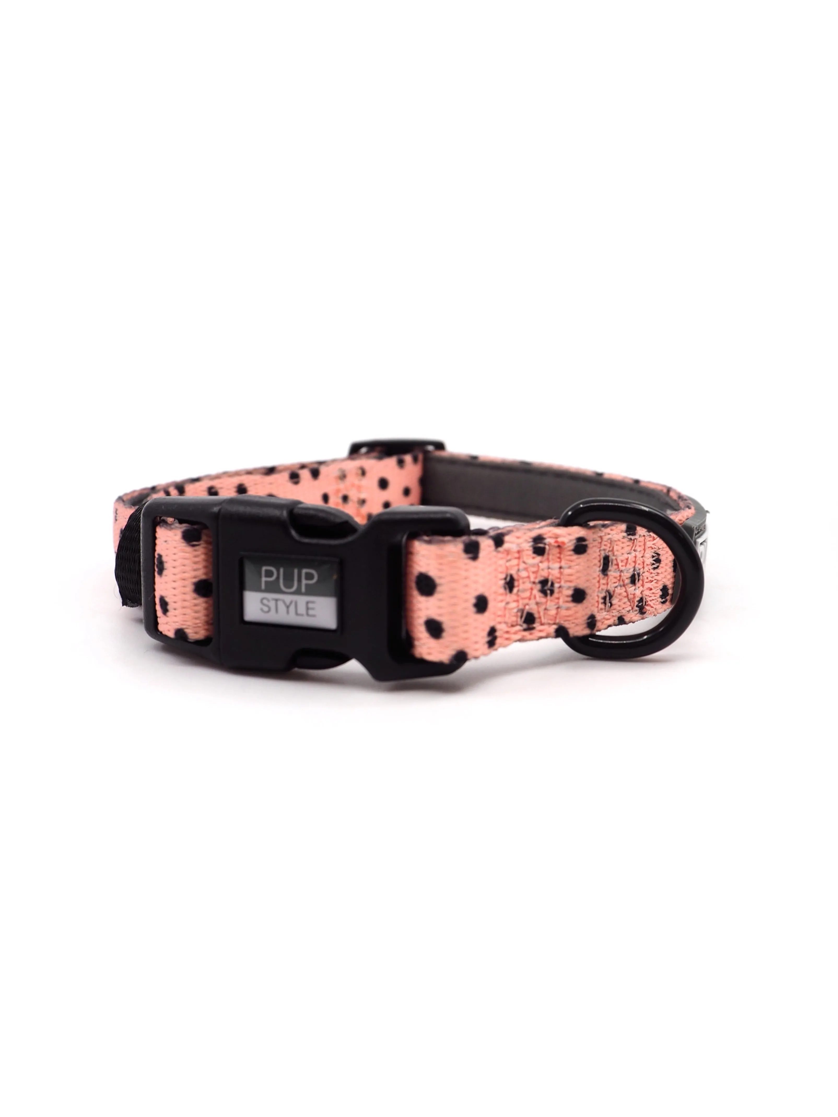 "Morocco" Adventure Collar