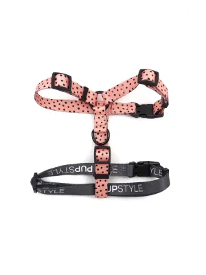 "Morocco" Adventure Strap Harness